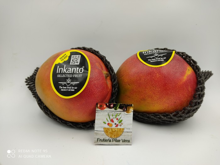 Mangos de avión (unidad)