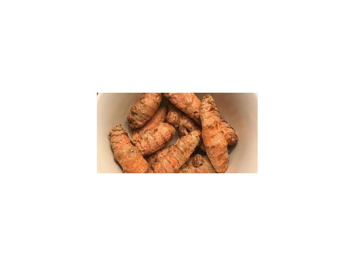 Curcuma fresco Ecológico