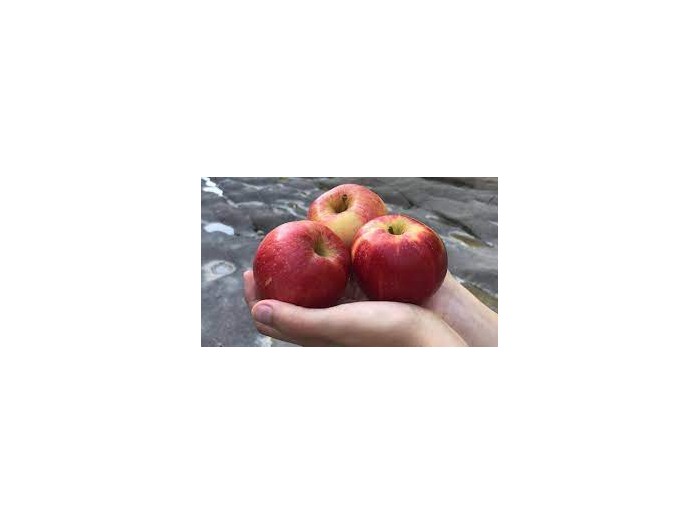 Manzana Mandy