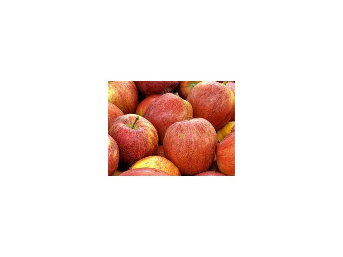 Manzana Royal Gala