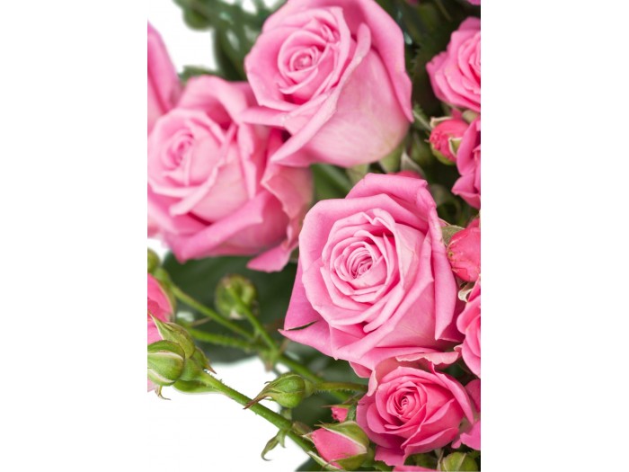 Ramo de 6 ROSAS (color a elegir)