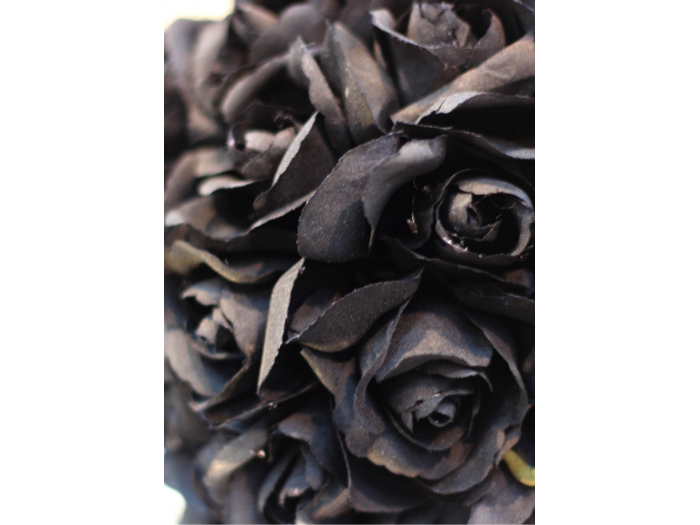 Ramo de 6 ROSAS (color a elegir)
