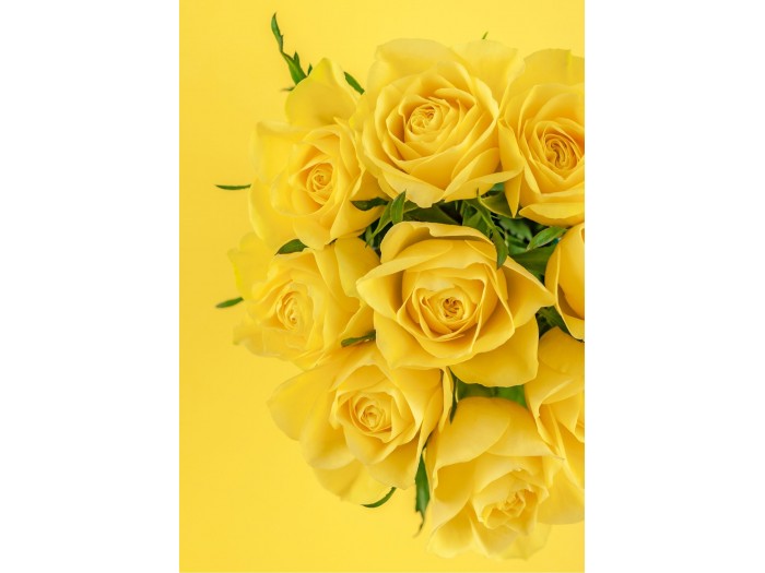 Ramo de 6 ROSAS (color a elegir)